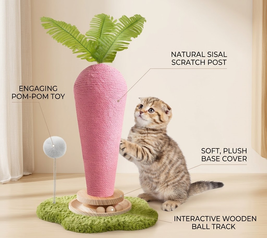 Yeyorentacosh Durable Carrot Cat Scratcher & Natural Wood Interactive Toy Set - The Ultimate Cute Cat Toy with Catnip & Spinning Balls
