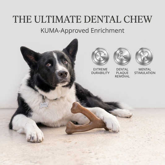 Yeyorentacosh Ultra-Durable Dog Chew Toy: Engineered for Aggressive & Heavy Chewers